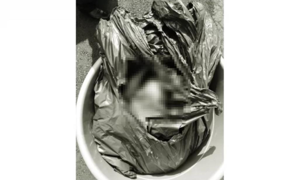 Al asomarse a un tambo de basura, un barrendero se estremeció al ver la cabeza de una mujer en el fondo; el hallazgo ocurrió en calles de la colonia Aculco de Iztapalapa, Ciudad de México. (ESPECIAL)