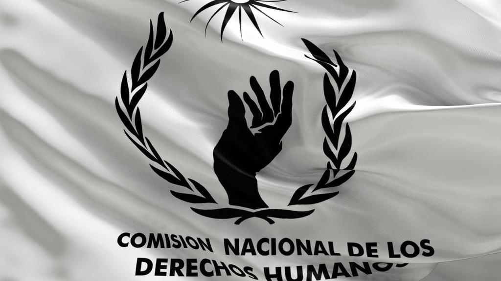 La CNDH se constituyó como un organismo con autonomía de gestión y presupuestaria, con el fin de proteger, promover y divulgar los derechos humanos de los mexicanos. (ESPECIAL)
