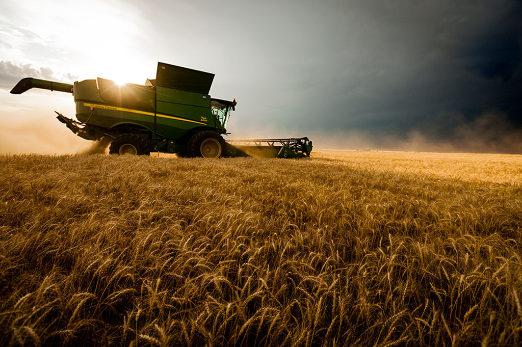 Según la Sader, la balanza agroindustrial alcanzó récord. (ARCHIVO) 
