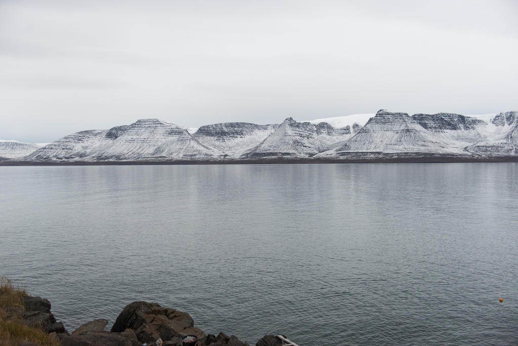 El Ártico es el área más afectada por el cambio climático en todo el mundo, incluso se calienta dos veces más rápido que cualquier otro punto del planeta. (ARCHIVO) 