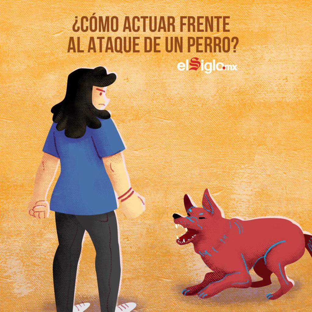 Si un perro llega a atacarte, debes saber que ciertas reacciones pueden llevarlo a enfurecerse más. (EL SIGLO DE TORREÓN) 