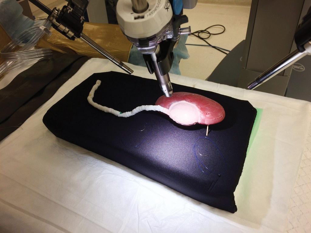 Científicos de la Universidad Técnica de Berlín (TU) han probado con éxito la infección con virus en órganos impresos en 3D. (ARCHIVO) 