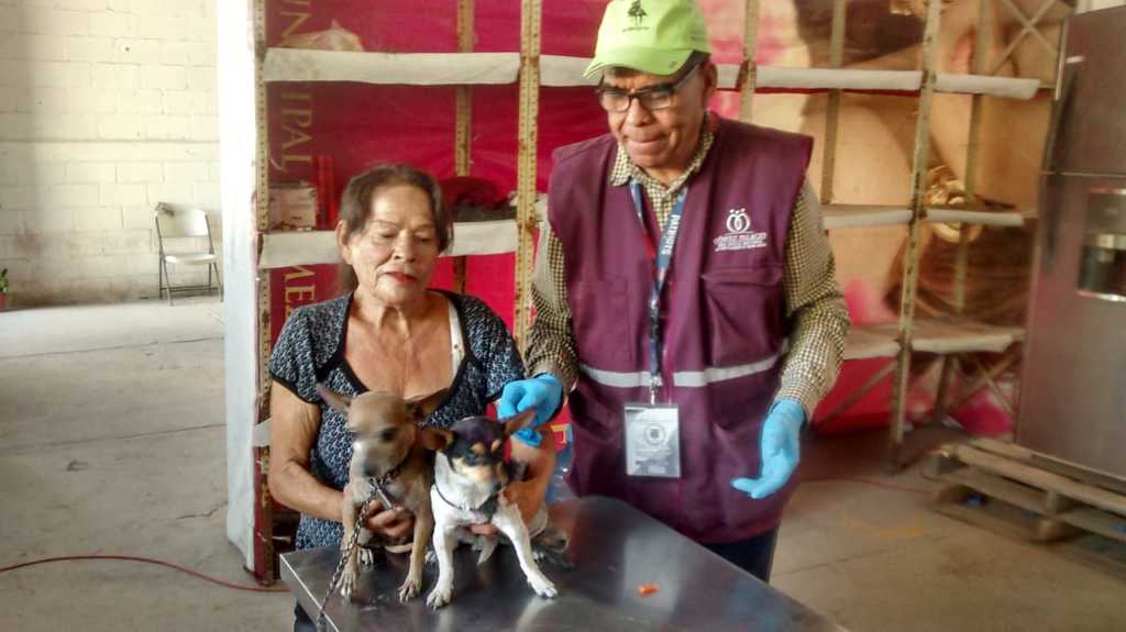 Salud Municipal de Gómez Palacio invita a campaña de esterilización canina. (EL SIGLO DE TORREÓN)