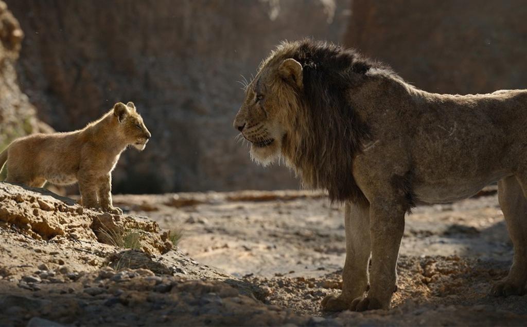 La reversión más vista fue El rey león, con 18 millones de asistentes. Es la misma historia que la estrenada en 1994, pero ahora en acción viva. (AP) 
