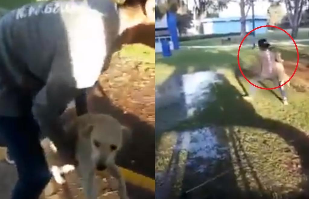 En el clip el sujeto arroja al perro contra un charco de agua sucia (INTERNET) 