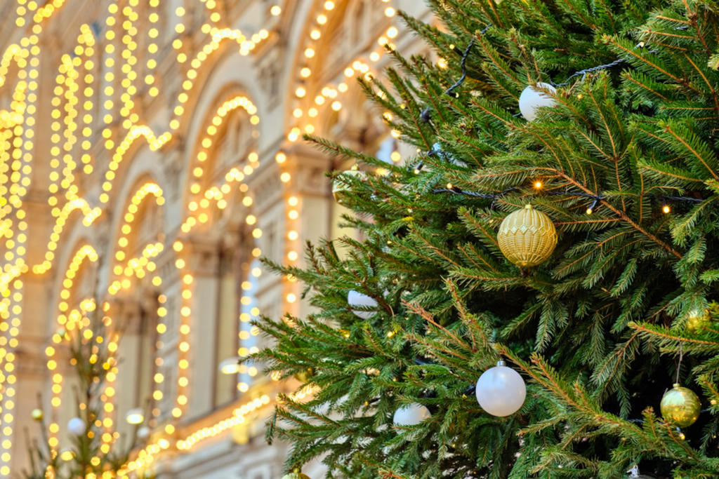 Tener un árbol navideño natural es algo que a muchos les causa felicidad y alegría, sin embargo, es necesario tener cuidados específicos para mantenerlo con vida y libre de accidentes catastróficos.  (ARCHIVO) 