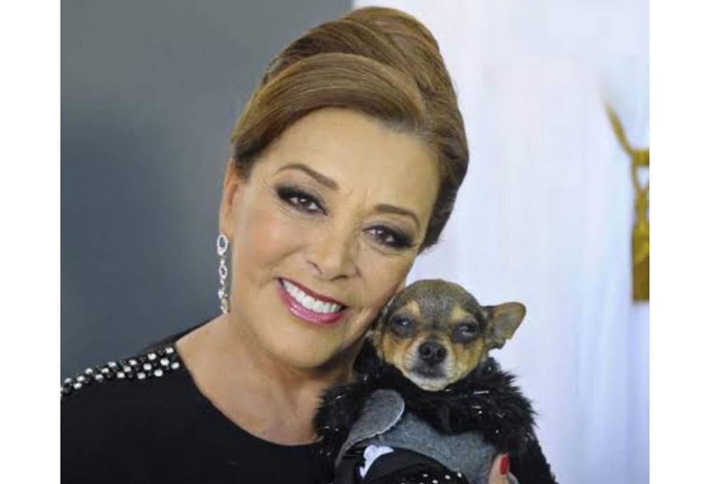 La actriz mexicana Sylvia Pasquel ha puesto a la venta diversas prendas y accesorios que ha utilizado durante su carrera, lo cual tiene como finalidad apoyar a un refugio de animales, así como convivir un momento con sus seguidores. (INSTAGRAM)