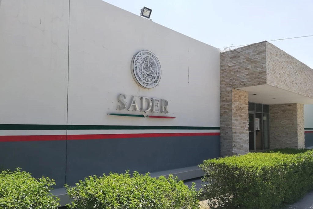 Sader inspecciona en puertos, aeropuertos y puntos fronterizos a visitantes nacionales y extranjeros a fin de evitar la introducción de mercancías que pudieran ser portadoras de plagas. (ARCHIVO) 