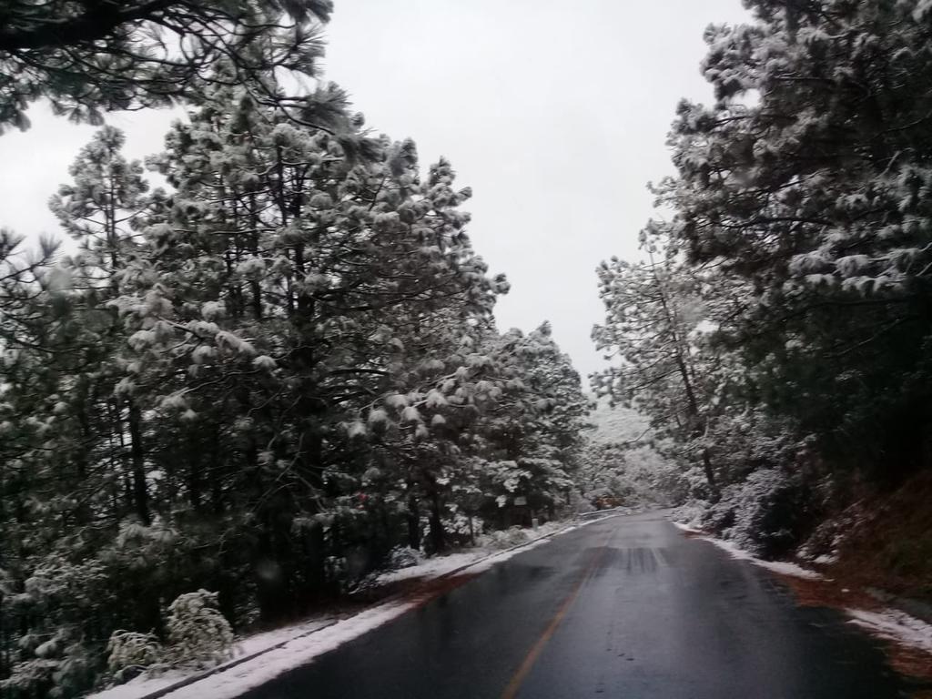 Un manto blanco cubrió el municipio durante la madrugada y mañana de este sábado. (TWITTER)
