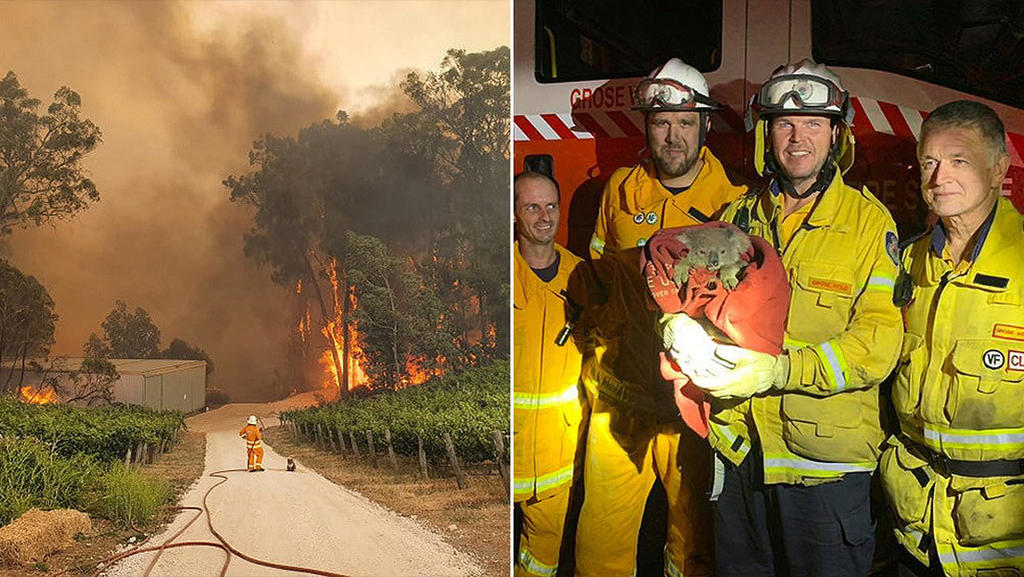 Devastadores incendios afectan en estos momentos el este de Australia. (INTERNET)
