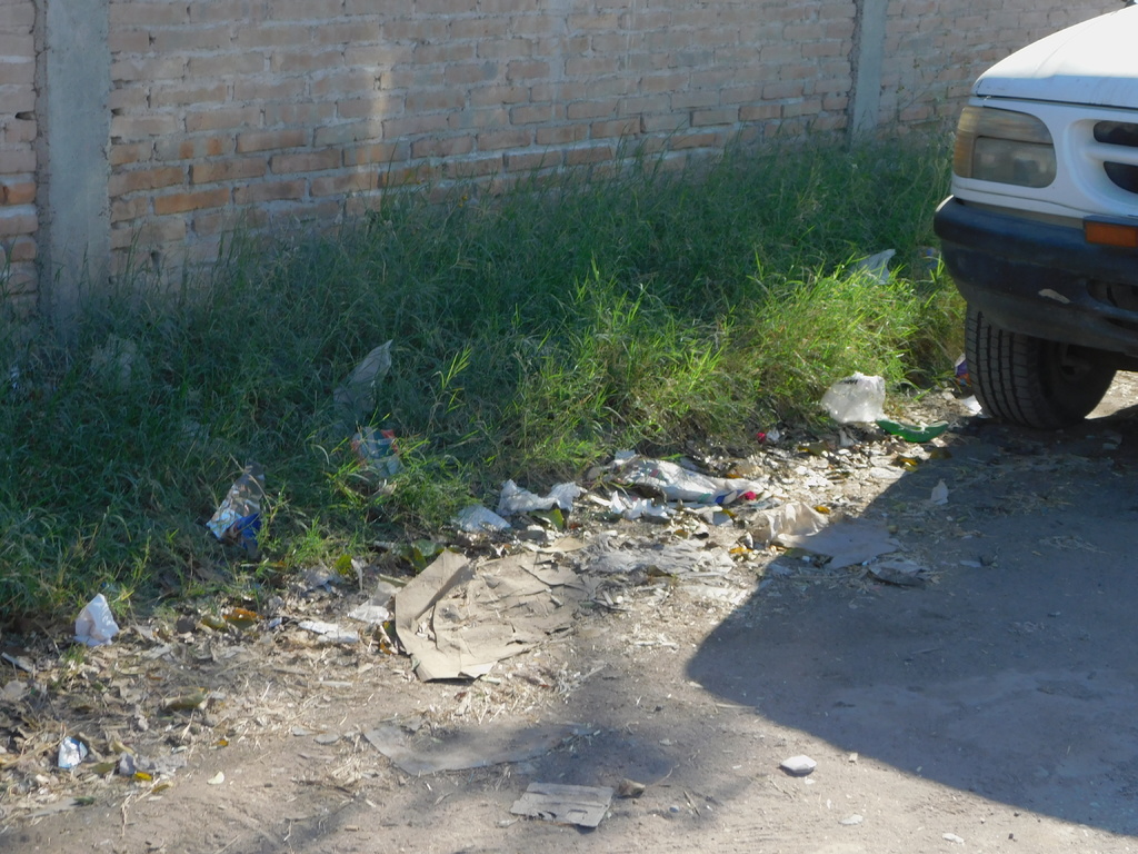 La falta de mantenimiento en las calles del municipio de Francisco I. Madero genera una imagen sucia y desordenada de la ciudad. (EL SIGLO DE TORREÓN / BEATRIZ A. SILVA)