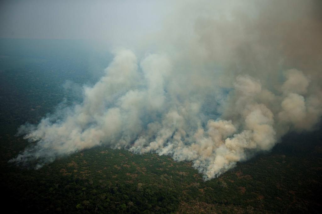El aumento de la deforestación de la Amazonía y de los incendios forestales; el desmantelamiento de políticas ambientales y de fiscalización, y duros ataques a los ecologistas es el saldo ambiental del primer año de Gobierno de Jair Bolsonaro. (ARCHIVO)