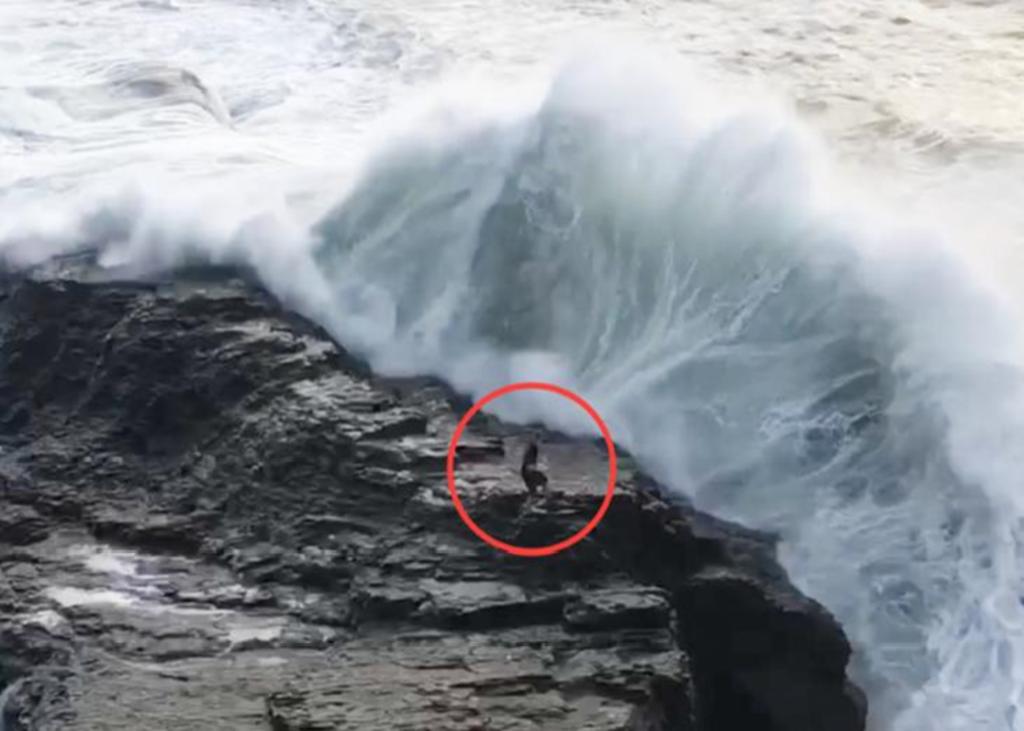 Se espera que las olas en la zona alcancen los 7 metros. (INTERNET)