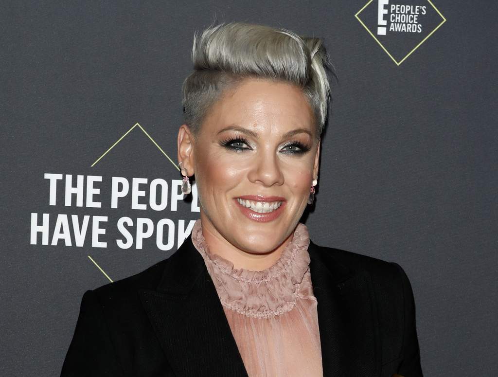 La cantante pop Pink dio a conocer que donará 500 mil dólares para ayudar a combatir los incendios forestales que se extienden desde septiembre pasado en Australia, mismos que han cobrado la vida de casi 500 millones de animales. (ARCHIVO)