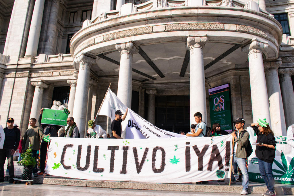 Durante el periodo ordinario de sesiones del Congreso de México, el Senado acometerá el debate final sobre la regulación del cannabis, tema que ha sido objeto de análisis por expertos nacionales e internacionales en asuntos legales, así como por empresarios, productores y organizaciones de la sociedad civil. (ARCHIVO)