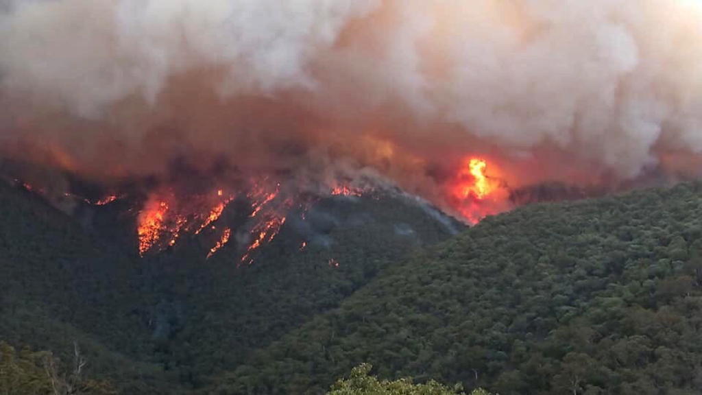 El primer ministro australiano, Scott Morrison, anunció que su gobierno destinará dos mil millones de dólares en los próximos dos años para ayudar a cubrir los daños generados por los incendios forestales. (ARCHIVO)