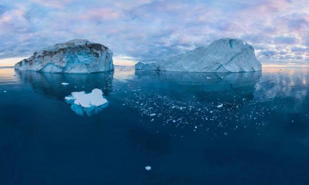 Asimismo, las temperaturas sustancialmente superiores en el Ártico generaron que la capa de hielo marino fuera mucho más baja. (ARCHIVO)