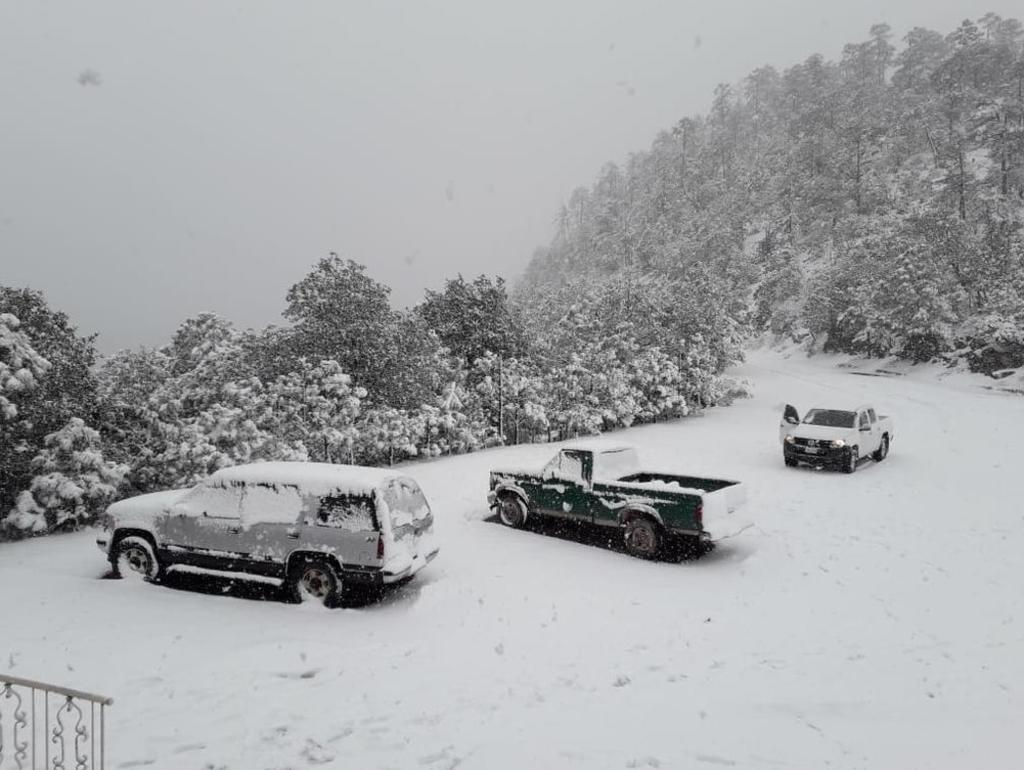 Se estiman temperaturas mínimas inferiores a menos 10 grados Celsius y nevadas en las sierras de Chihuahua, Sonora y Durango. (ARCHIVO)
