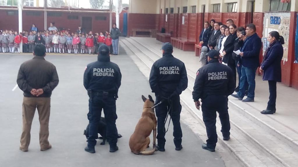 En el mismo participan la coordinación de Servicios Educativos de La Laguna de Coahuila, así como Adelaido Flores, coordinador Región Laguna de la Secretaría de Seguridad Pública y la Unidad Canina de la Policía Federal.
(FERNANDO COMPEÁN)