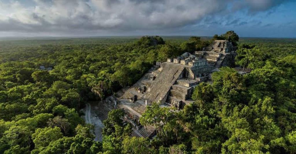 La zona, además de ser un sitio arqueológico, es hogar de especies como pecarí labios blancos, jaguar, puma, zopilote rey y pavo ocelado, entre otros.  (ARCHIVO)