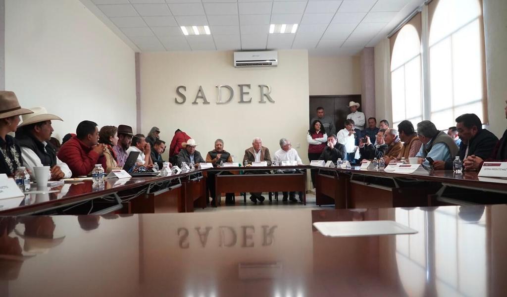 De acuerdo a la SADER, que dentro de las acciones previstas está la construcción de invernaderos desde una hectárea. (ARCHIVO)