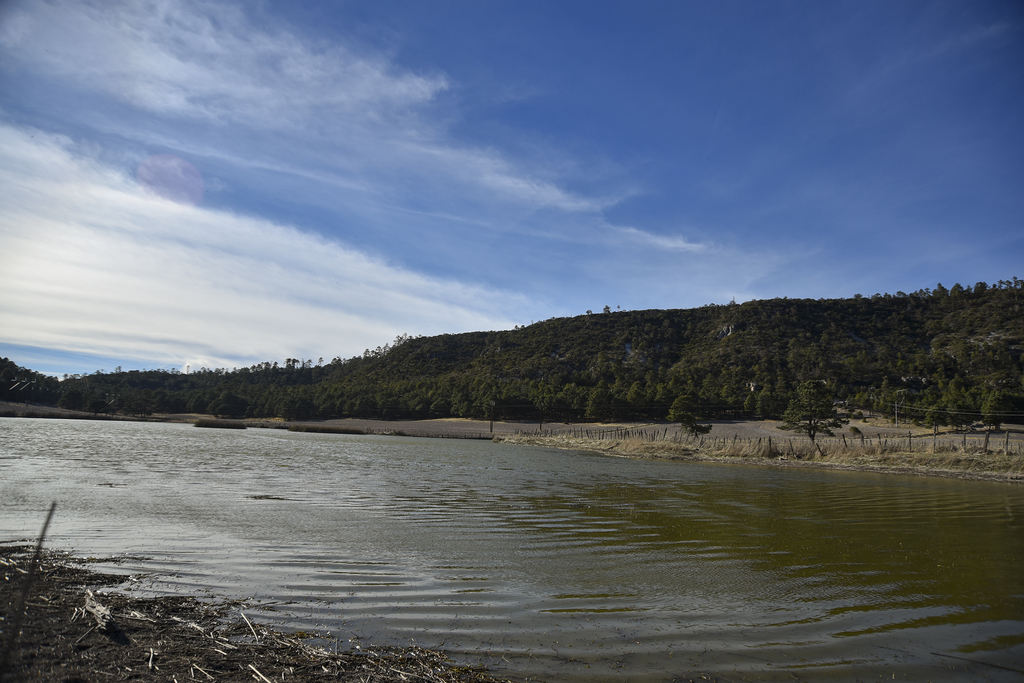 La finalidad del programa Irritila es buscar la conservación y restauración de la cuenca alta del río Nazas en La Laguna. (ARCHIVO)
