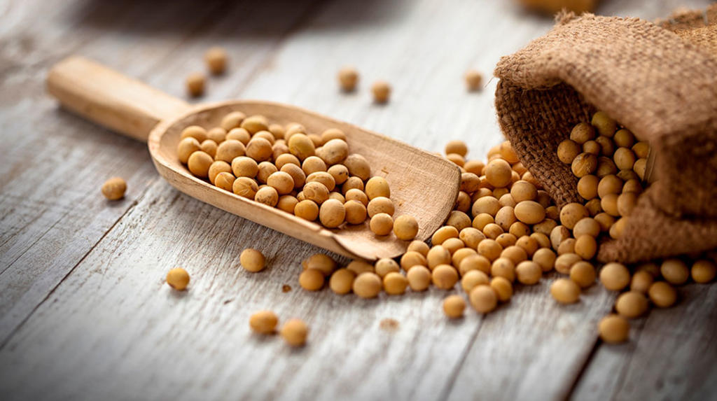 La soya o soja, por ejemplo, es una de las semillas con un diminuto tamaño pero con grandes propiedades. (ESPECIAL)