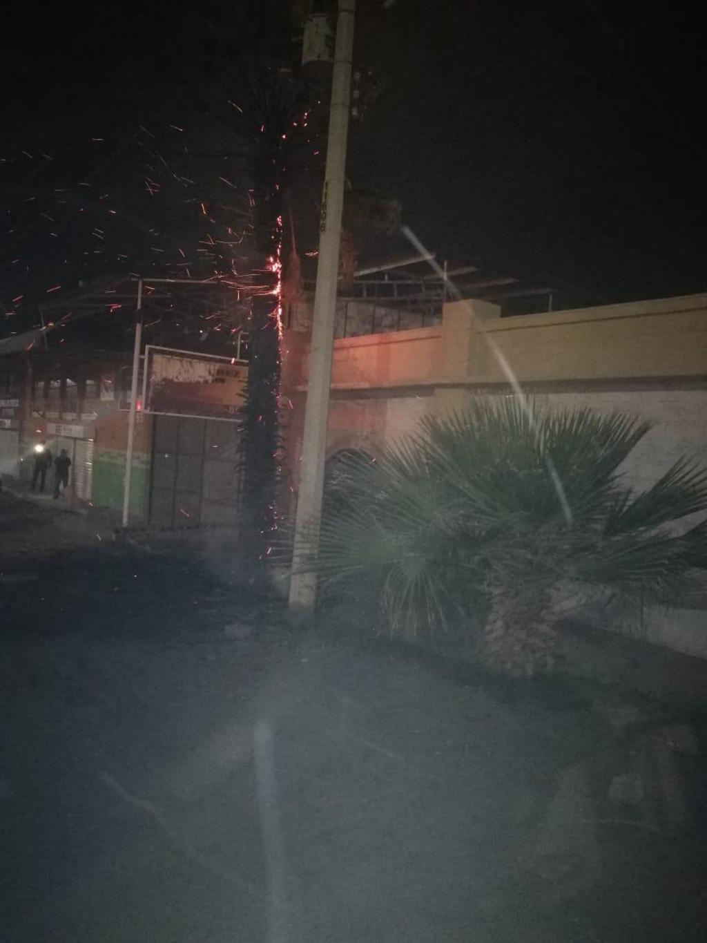 Las rachas de viento de hasta 50 kilómetros por hora que se registraron en el transcurso de la tarde noche de ayer en Gómez Palacio, dejaron un saldo de tres árboles caídos en distintos sectores del municipio además de dos incendios relacionados con esta corriente de aire. (ANGÉLICA SANDOVAL)