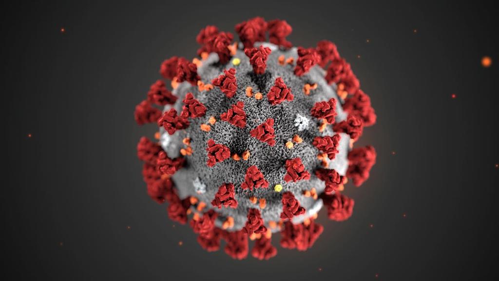 Los científicos lo han identificado como un nuevo coronavirus. El nombre se debe a que bajo el microscopio los coronavirus parecen una corona. (ESPECIAL)