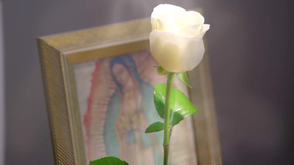 El programa unitario, La rosa de Guadalupe, inicia su año número 13, con una producción récord de mil 410 programas transmitidos desde su inicio en 2008, con un rating de casi cuatro millones y medio de espectadores y con 170 capítulos producidos al año, que se exportan a 23 países. (ESPECIAL)