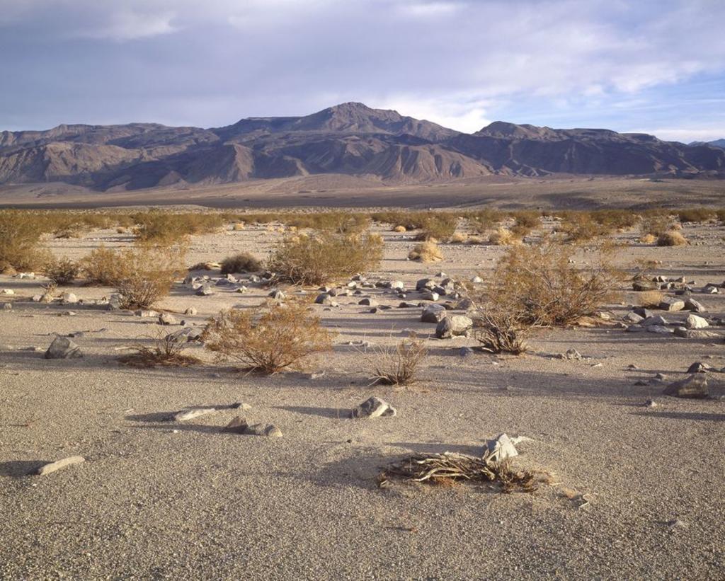 El cambio climático va a provocar que la aridez en las zonas que de forma natural son ya muy secas llegue a niveles extremos. (ARCHIVO) 