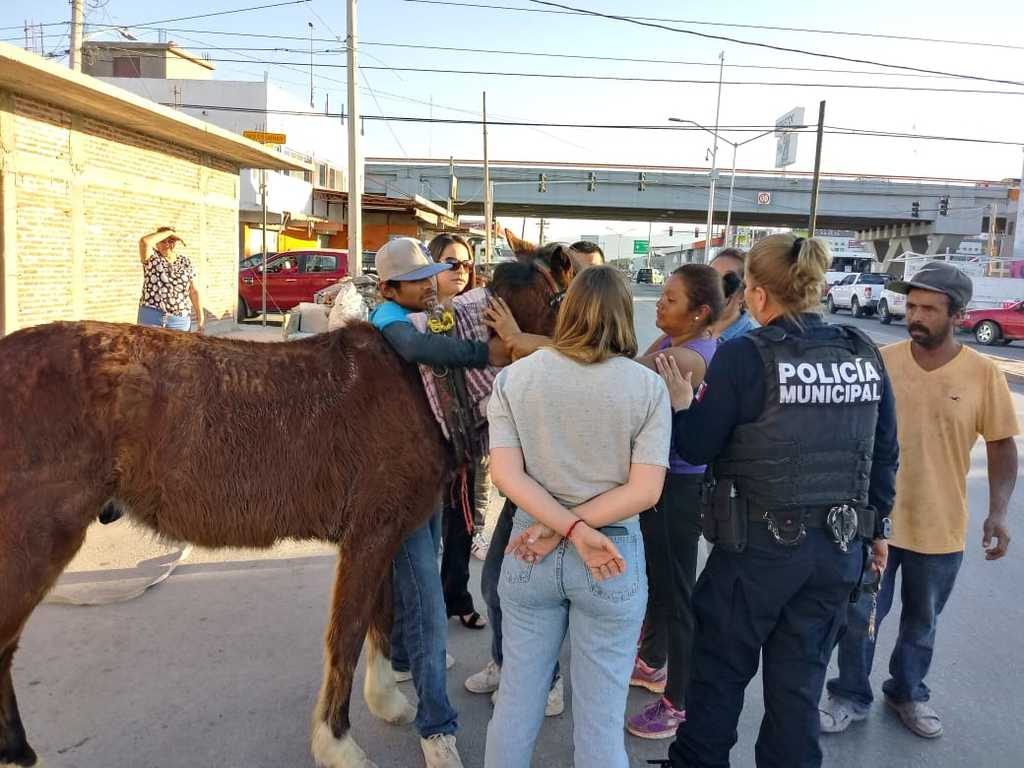 El pequeño Jair lloraba desconsolado porque se llevarían a su potrillo y se resistía como podía. (PRIMITIVO GONZÁLEZ)