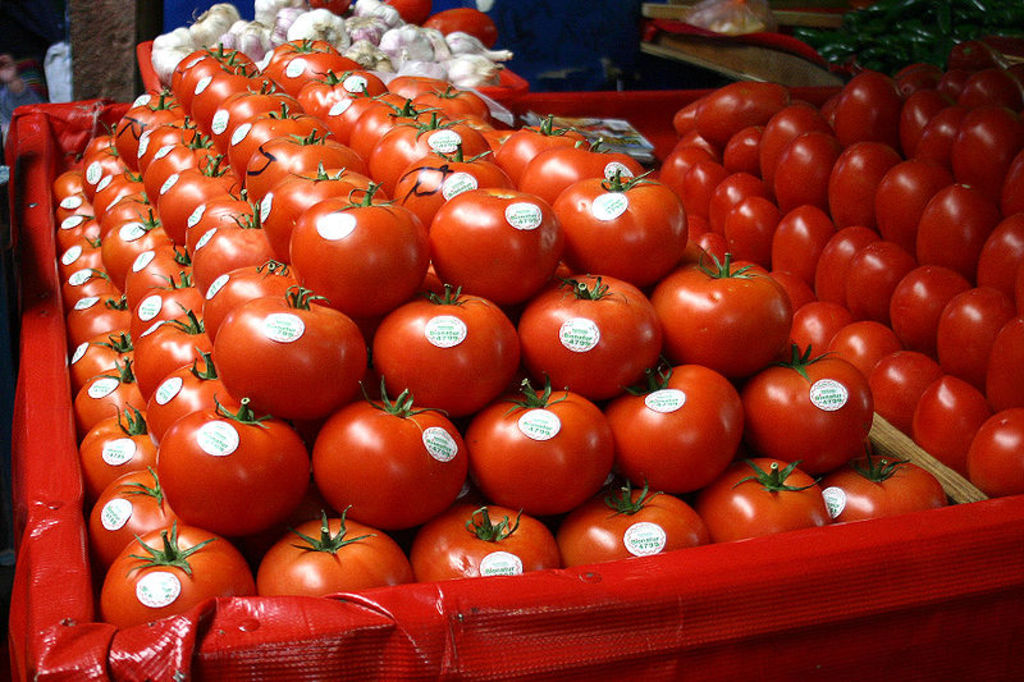 El tomate se encuentra entre los productos agrícolas que mayores alzas mostraron en el mes de febrero, con un incremento de 9.15 por ciento. (EFE) 