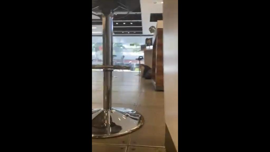 Usuarios de redes sociales reportan que se registró una balacera en las inmediaciones de la Torre Diana, que se ubica sobre Río Misisipi y Río Lerma, alcaldía Cuauhtémoc. (ESPECIAL)