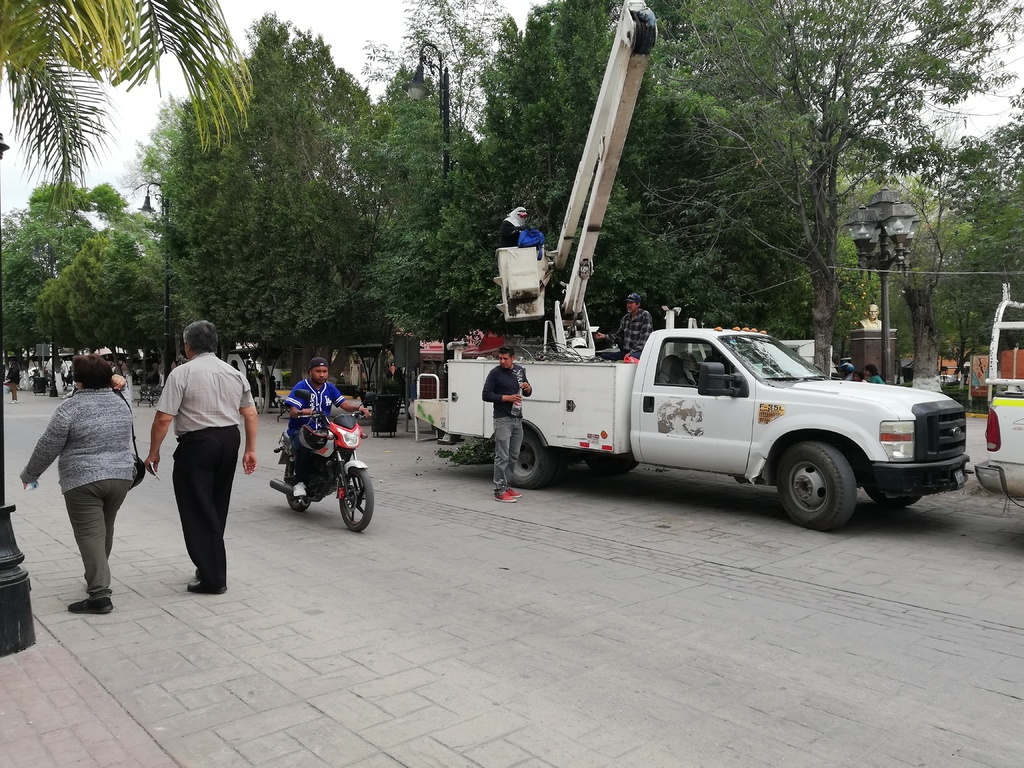 El lunes arrancaron las remodelaciones en la plaza principal de la Ciudad Jardín. (EL SIGLO DE TORREÓN/VIRGINIA HERNÁNDEZ) 