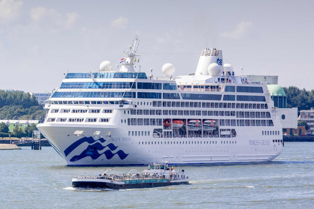 Princess Cruises, con sede en California, es propiedad del grupo Carnival, cuyas acciones en la Bolsa de Nueva York se desplomaban alrededor de un 16 % media hora después del inicio de las operaciones.
(EFE)