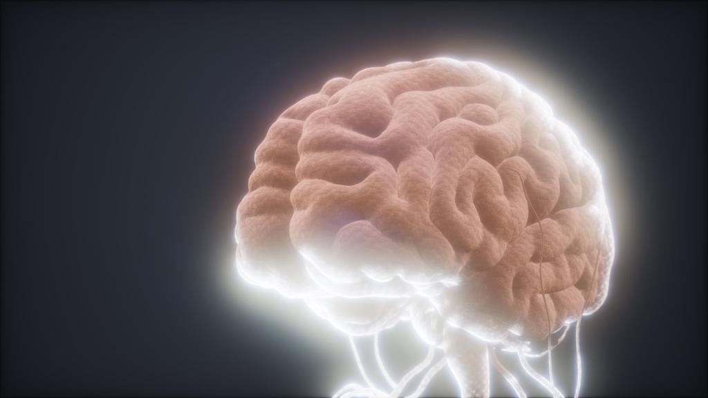 Un macroestudio internacional con participación española ha analizado el mapa genético que determina la estructura de las regiones claves de la corteza cerebral o 'sustancia gris'. (ARCHIVO) 
