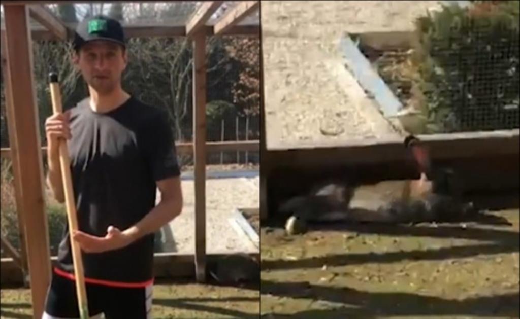 Thomas Müller, delantero del Bayern Munchen y ganador de la Copa del Mundo en 2014, enfatizó la importancia de quedarse en casa con una curiosa actividad, cuidar y limpiar de sus conejos mascota. (ESPECIAL)