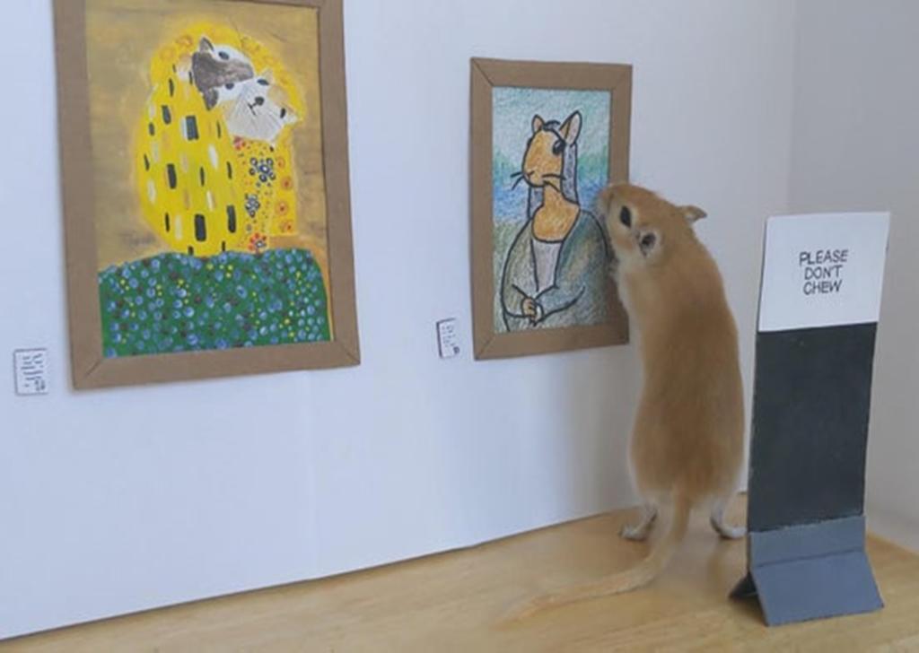 Los roedores pueden disfrutar de un poco de arte moderno. (INTERNET)