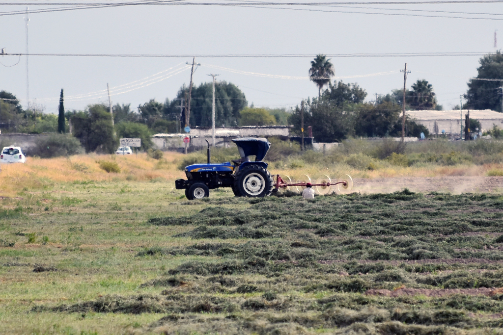 Agrónomos requieren apoyos ante contingencia al pertenecer a uno de los sectores esenciales. (EL SIGLO DE TORREÓN) 