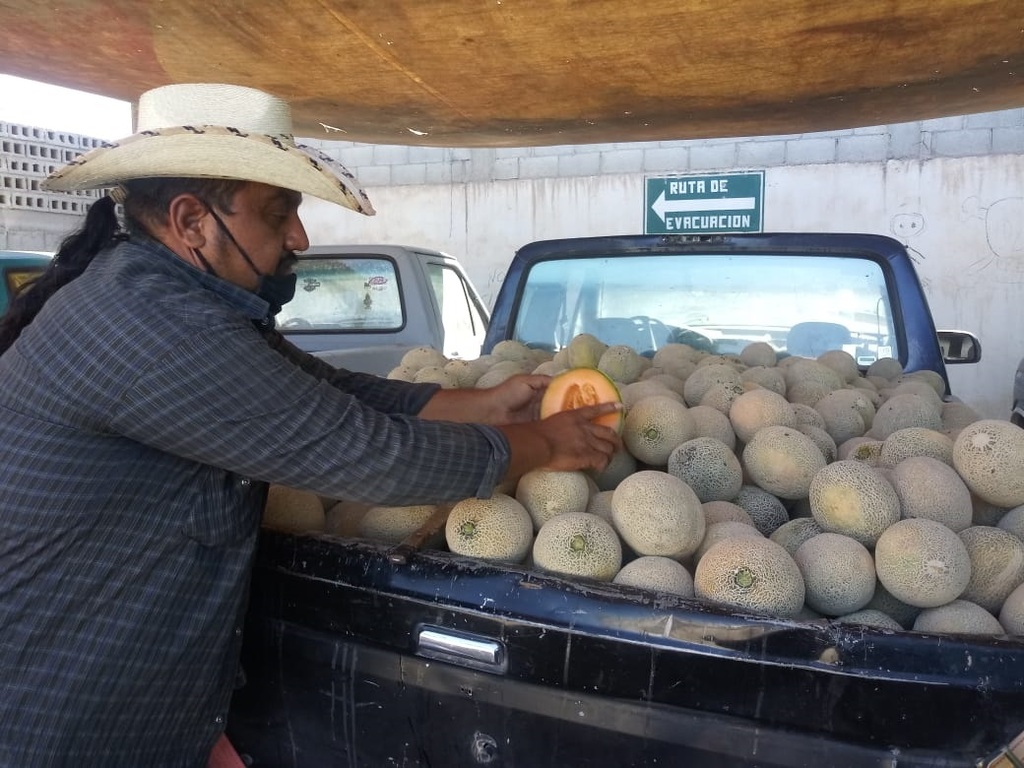 Buenas utilidades les reditúa a los productores el precio actual del melón y sandía en Matamoros. (EL SIGLO DE TORREÓN) 