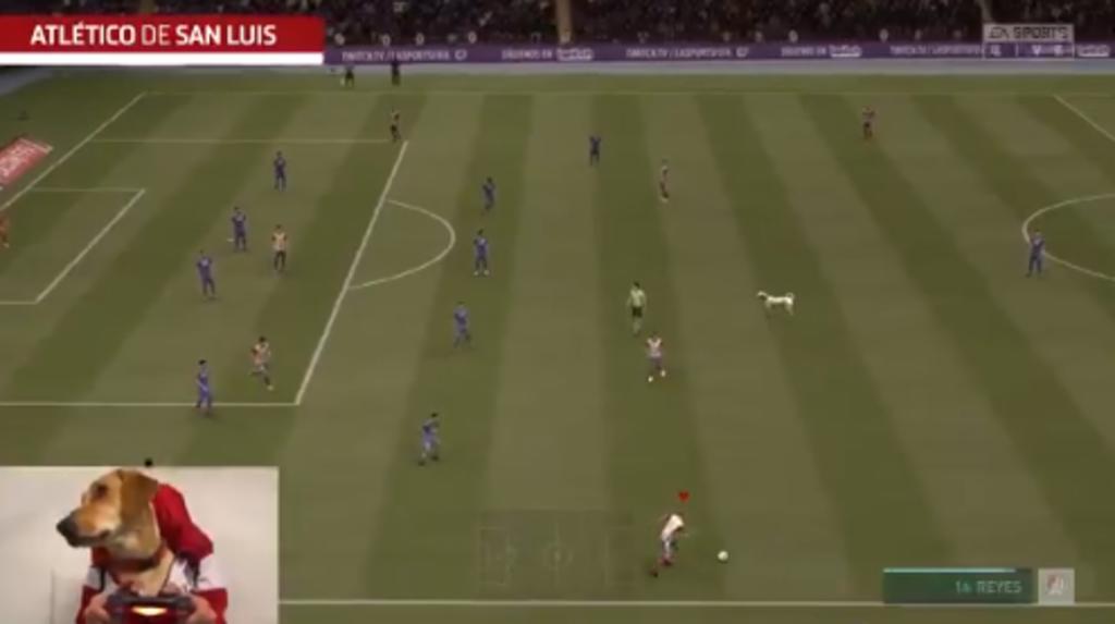 El conjunto potosino compartió un video, en el que una 'Tunita' virtual se metió al terreno de juego del FIFA 20. (ESPECIAL)