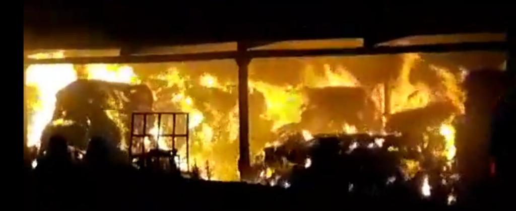 El incendio ocurrió en un establo localizado en Francisco I. Madero. (EL SIGLO DE TORREÓN)