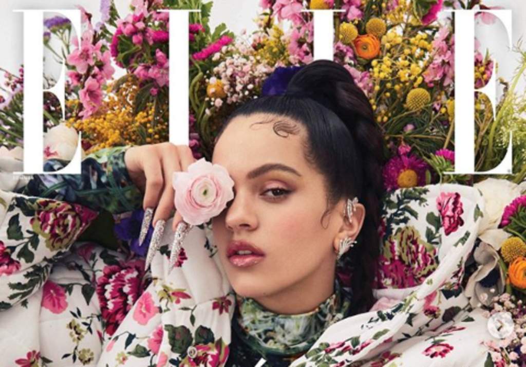 La cantante española Rosalía fue la artista elegida por la versión estadounidense de la revista Elle para protagonizar su portada de la edición del verano. (INSTAGRAM)
