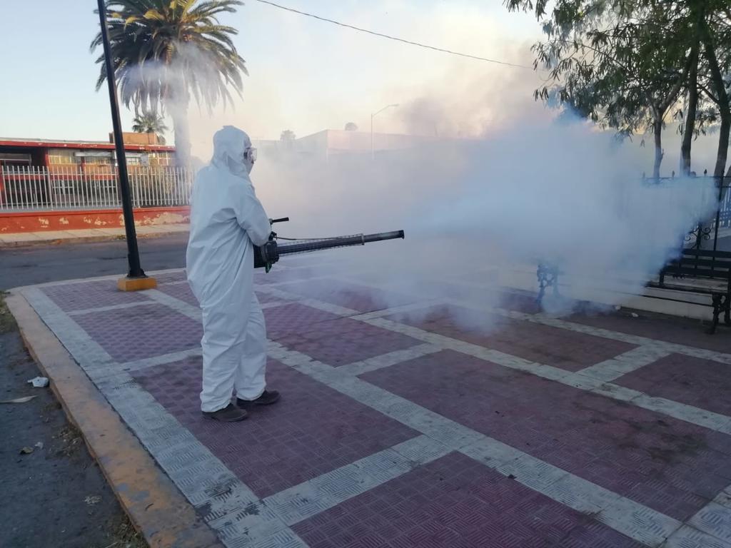 El personal de la Jurisdicción lleva más de un mes realizando nebulizaciones y termonebulizaciones en el municipio de Madero y de San Pedro. (DIANA GONZÁLEZ)