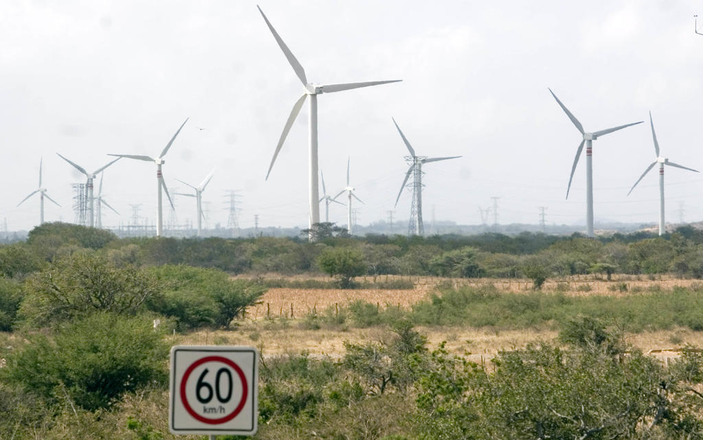 Un juez federal frenó indefinidamente la entrada en vigor del Acuerdo del Centro Nacional de Control de Energía (Cenace) que impedía el acceso de nuevas plantas de energías renovables al Sistema Eléctrico Nacional (SEN). (ARCHIVO) 