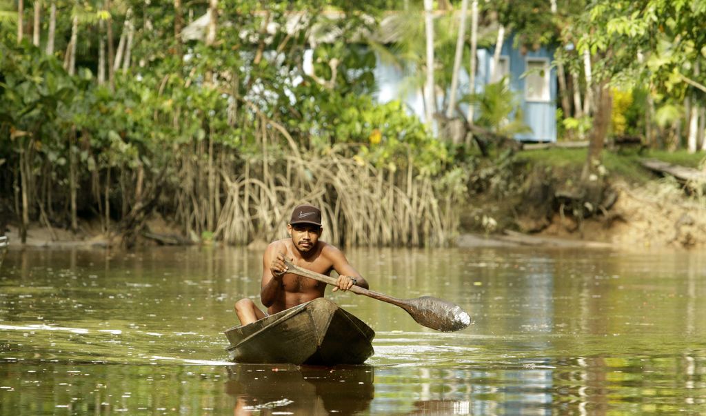 Si los habitantes de Amazonas adolecen y pierden su renta 'no tendrán otra alternativa' que explotar los recursos del bosque. (EFE) 