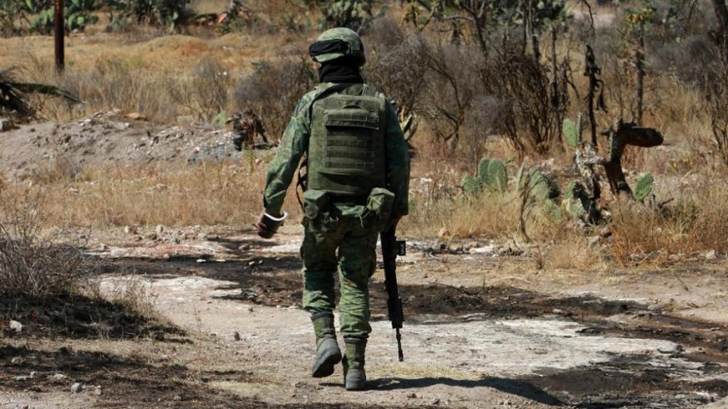 La Secretaría de la Defensa Nacional informó este jueves que la acción se realizó el 2 de junio pasado durante un cateo a una propiedad ubicada en la colonia Camino Vecinal.  (ARCHIVO)