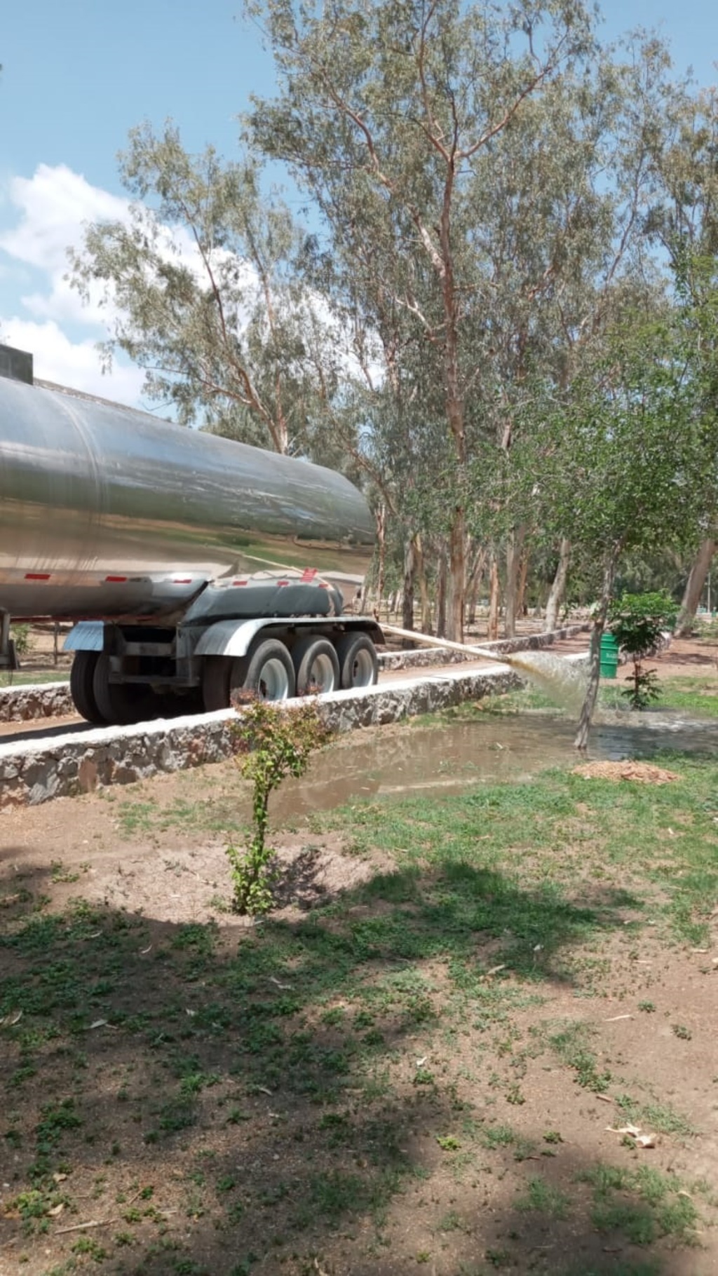 El agua tratada entregada en donación ya es utilizada en el Vivero Forestal y el Parque Raymundo de Ciudad Lerdo. (CORTESÍA)