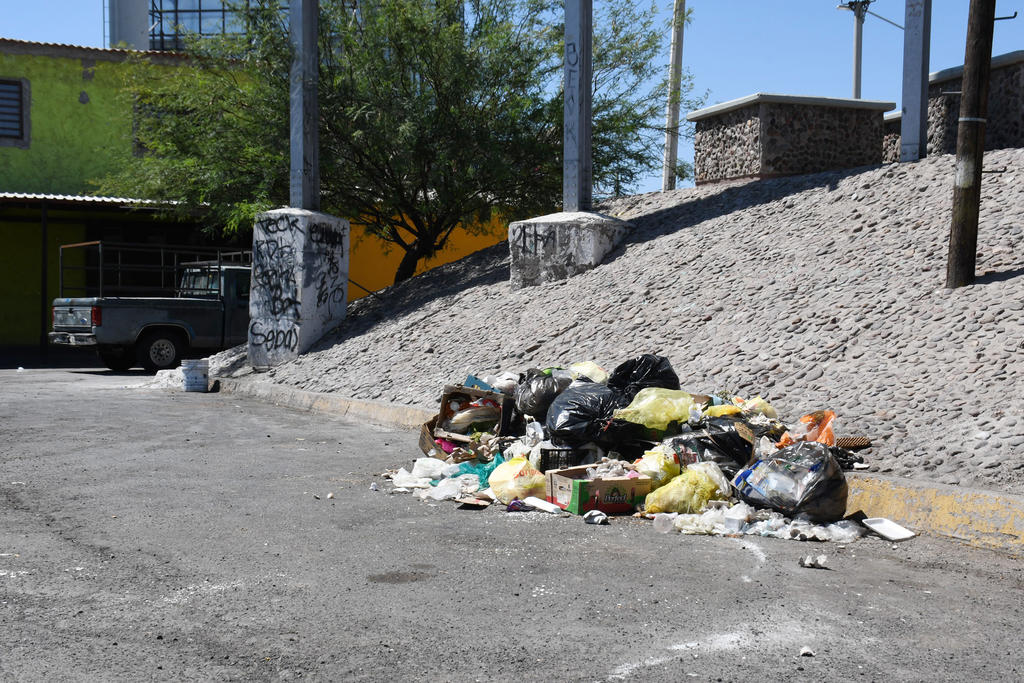 En algunas calles se observa la acumulación de basura que además de expedir malos olores, en ocasiones los perros esparcen los desechos.